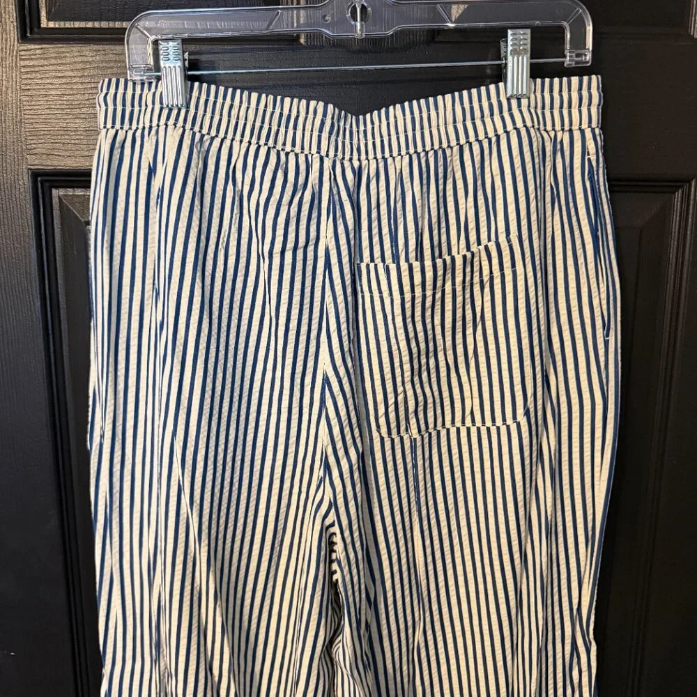 NWT American Eagle Wide Leg Stripe Pants Lightweight Blue White Medium - Picture 6 of 6